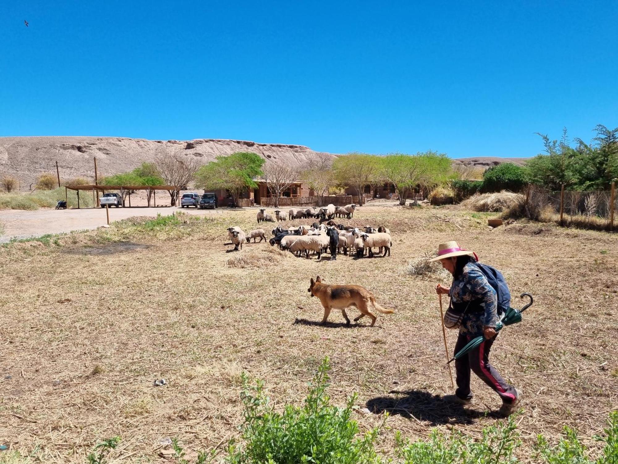 Lodge Altitud San Pedro De Atacama Zewnętrze zdjęcie